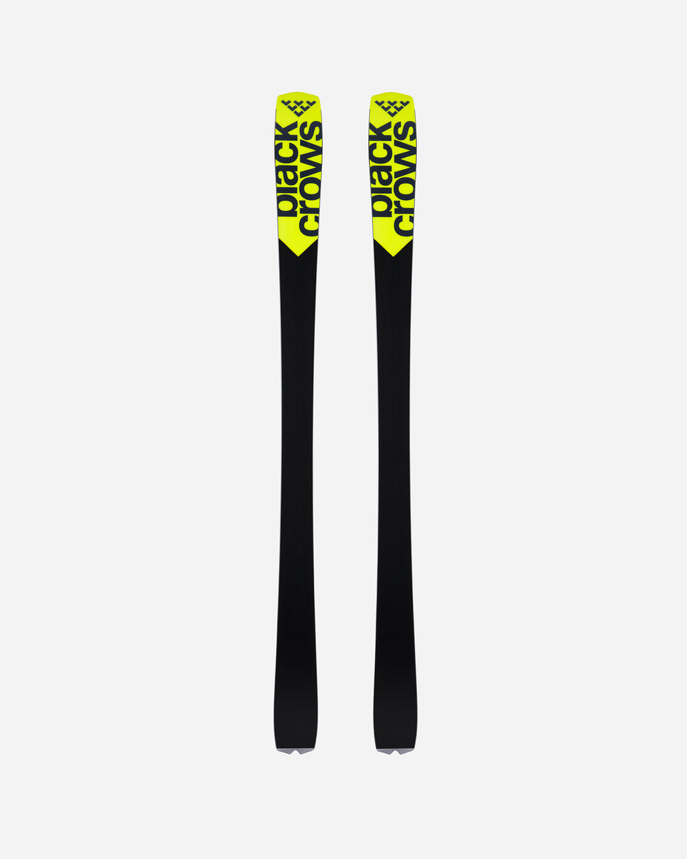 Black Crows Octo 2026