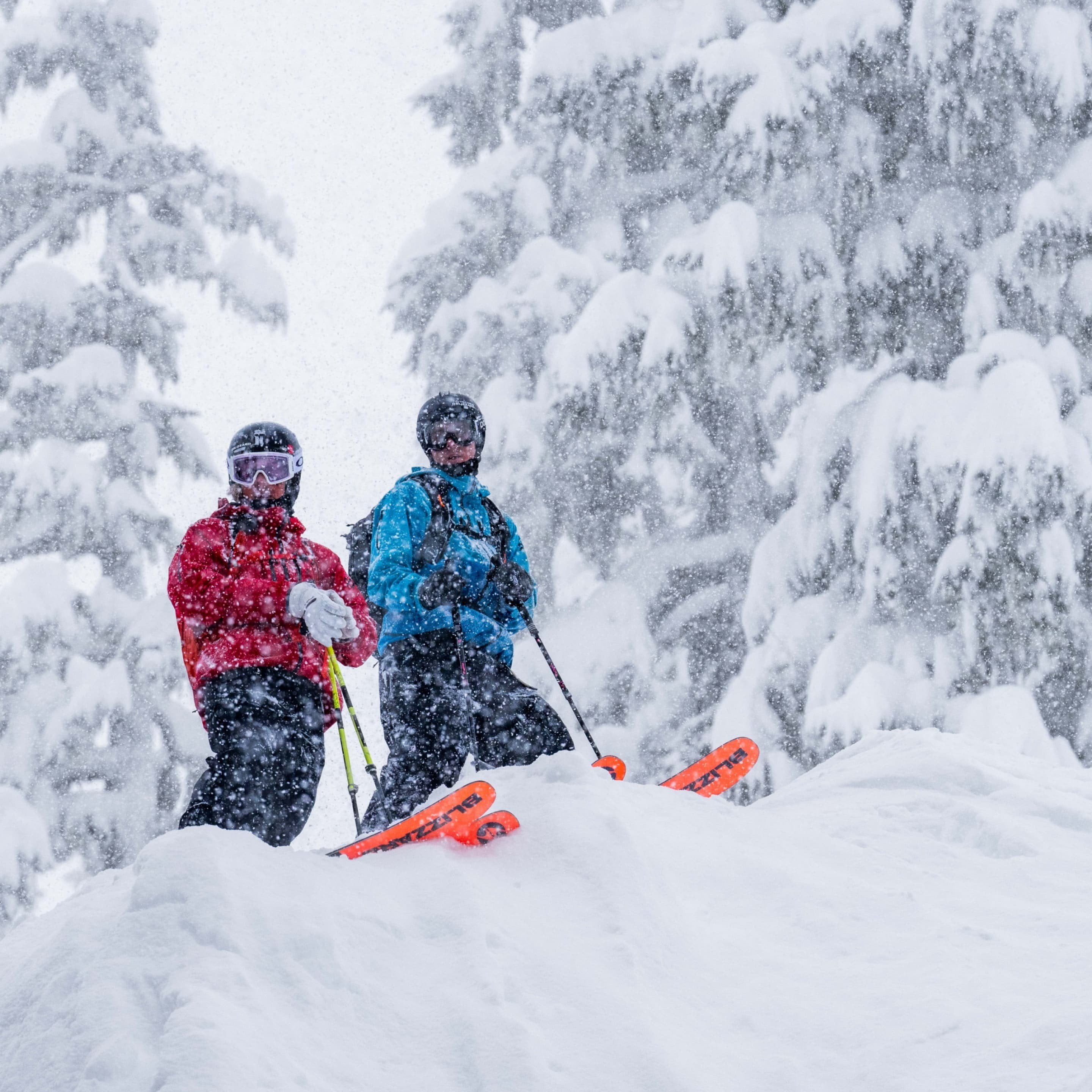 Blizzard Rustler 11 2026