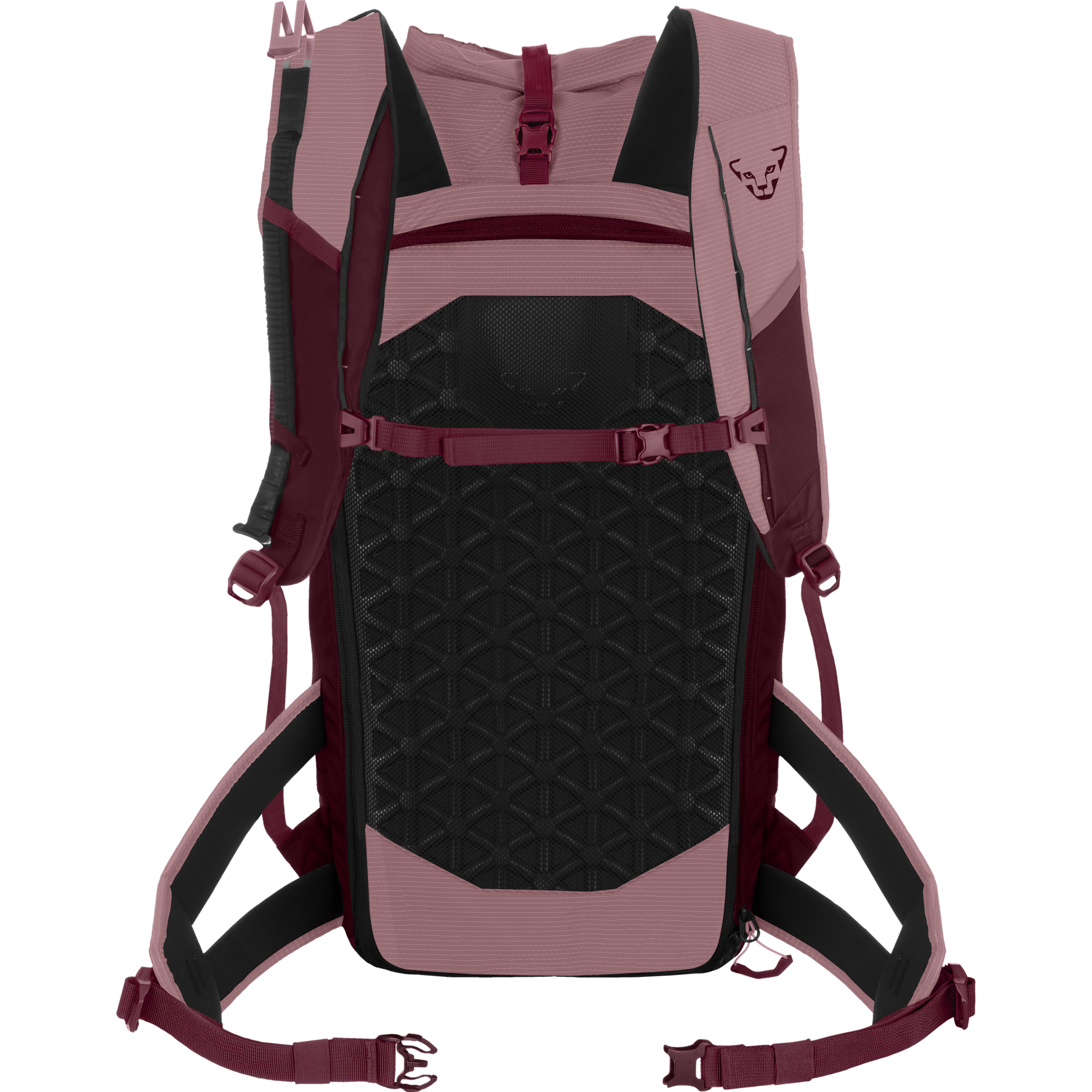 Dynafit Radical 30+ Backpack W