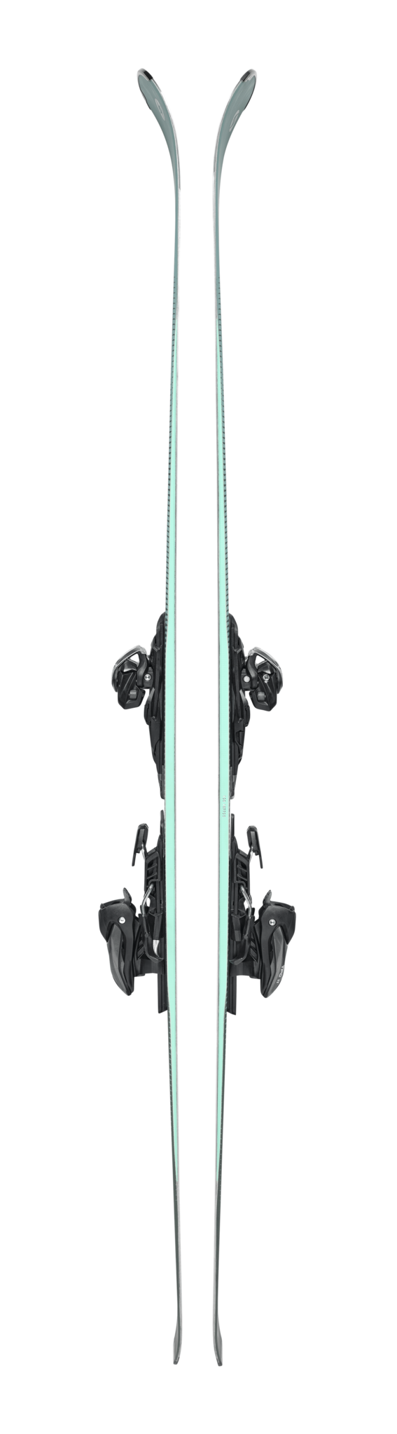 Blizzard Phoenix R13 CA 2026