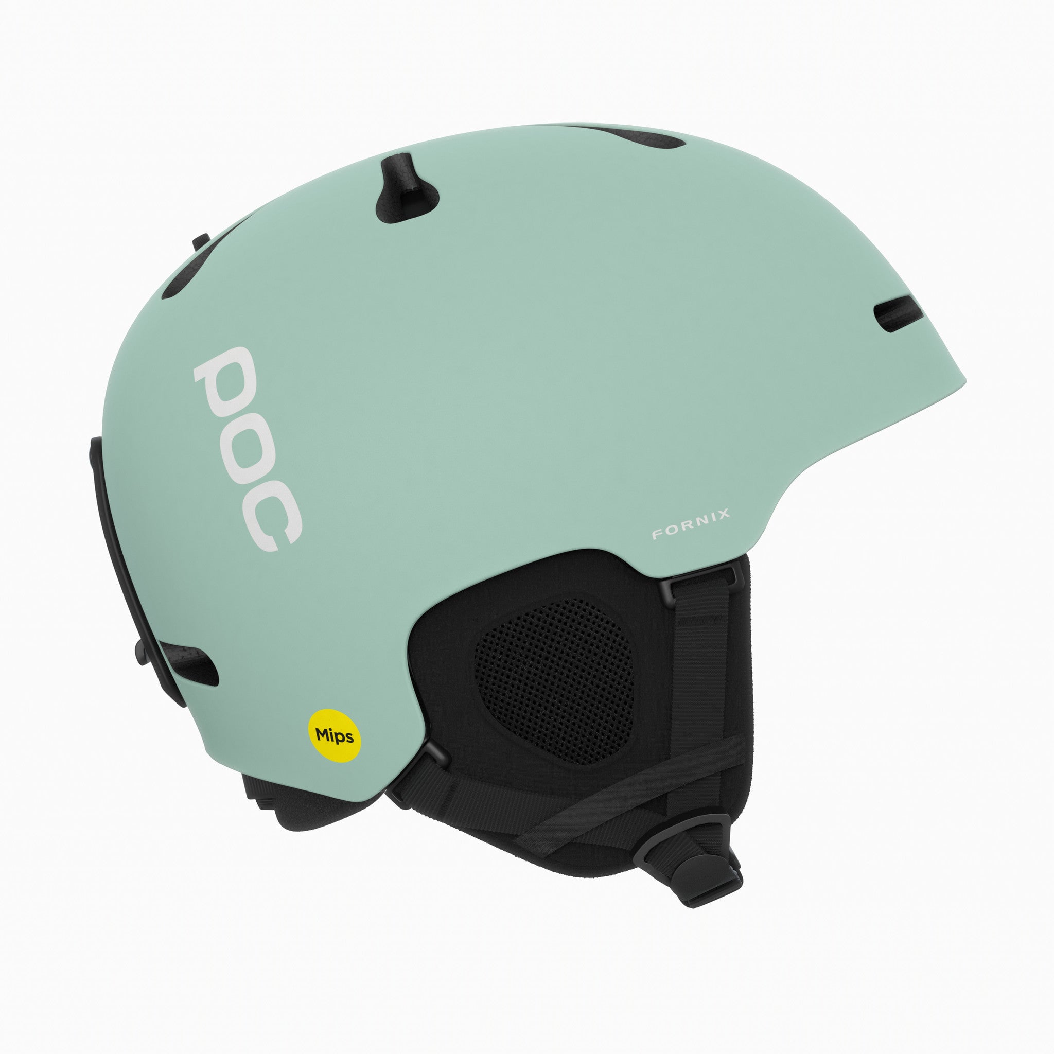 POC Fornix MIPS