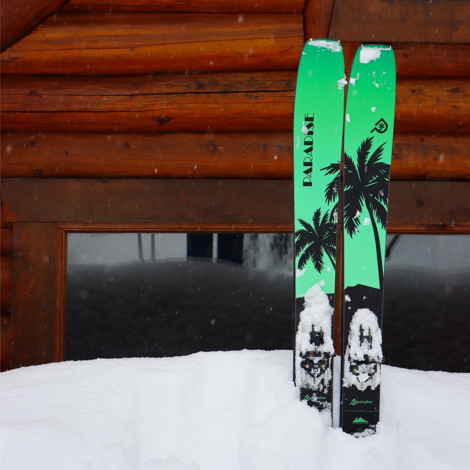 Paradise Vice Tour Ski 2024