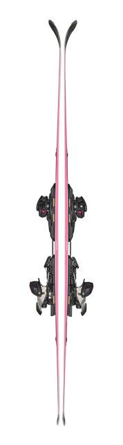 Blizzard Phoenix R14 PRO 2026