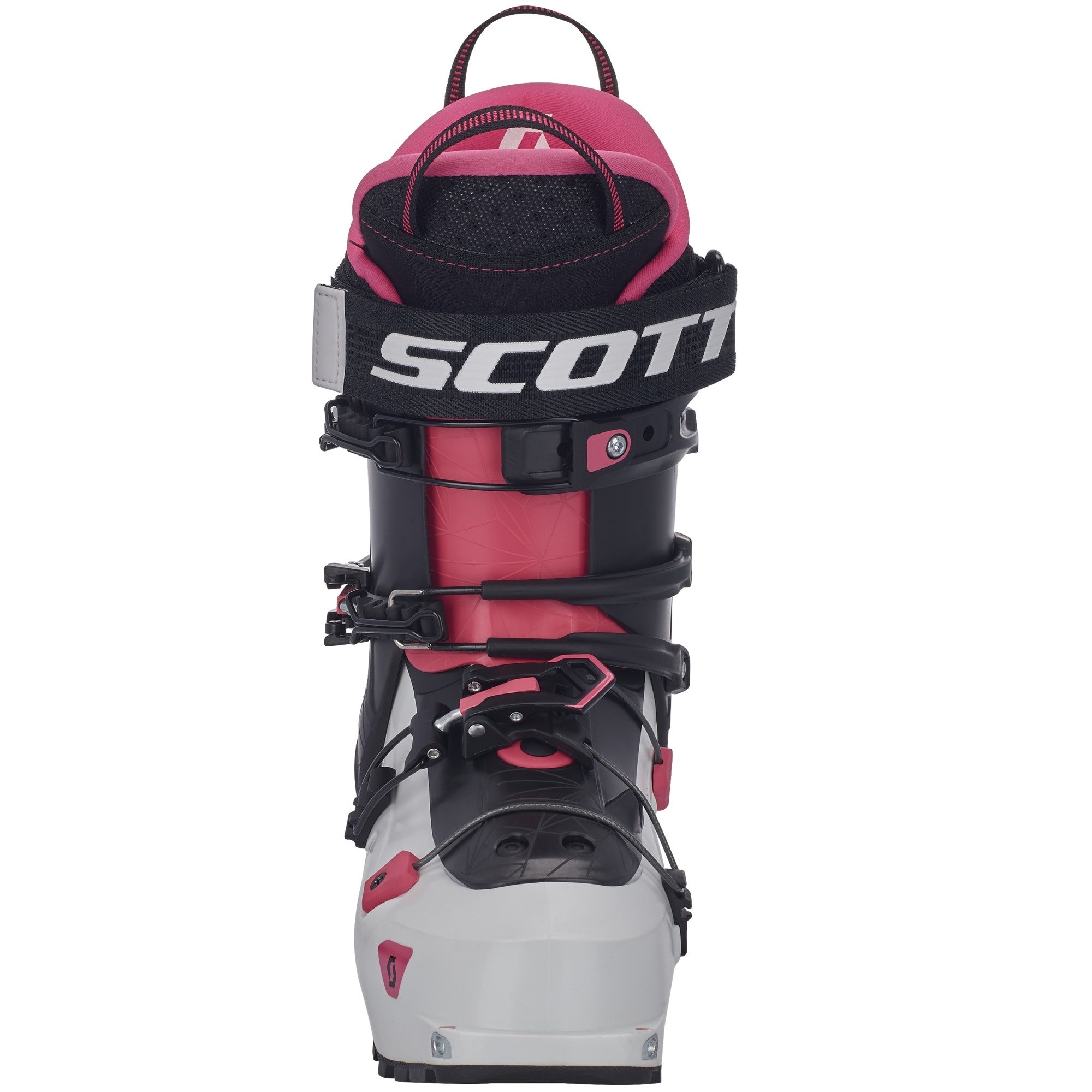 Scott Celeste 2023