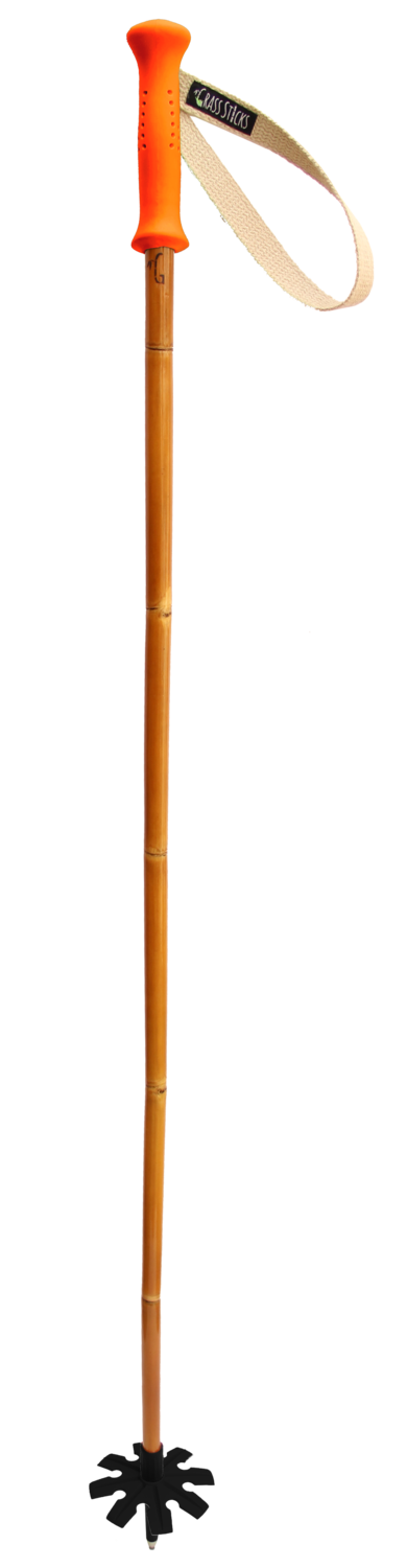 Grass Sticks