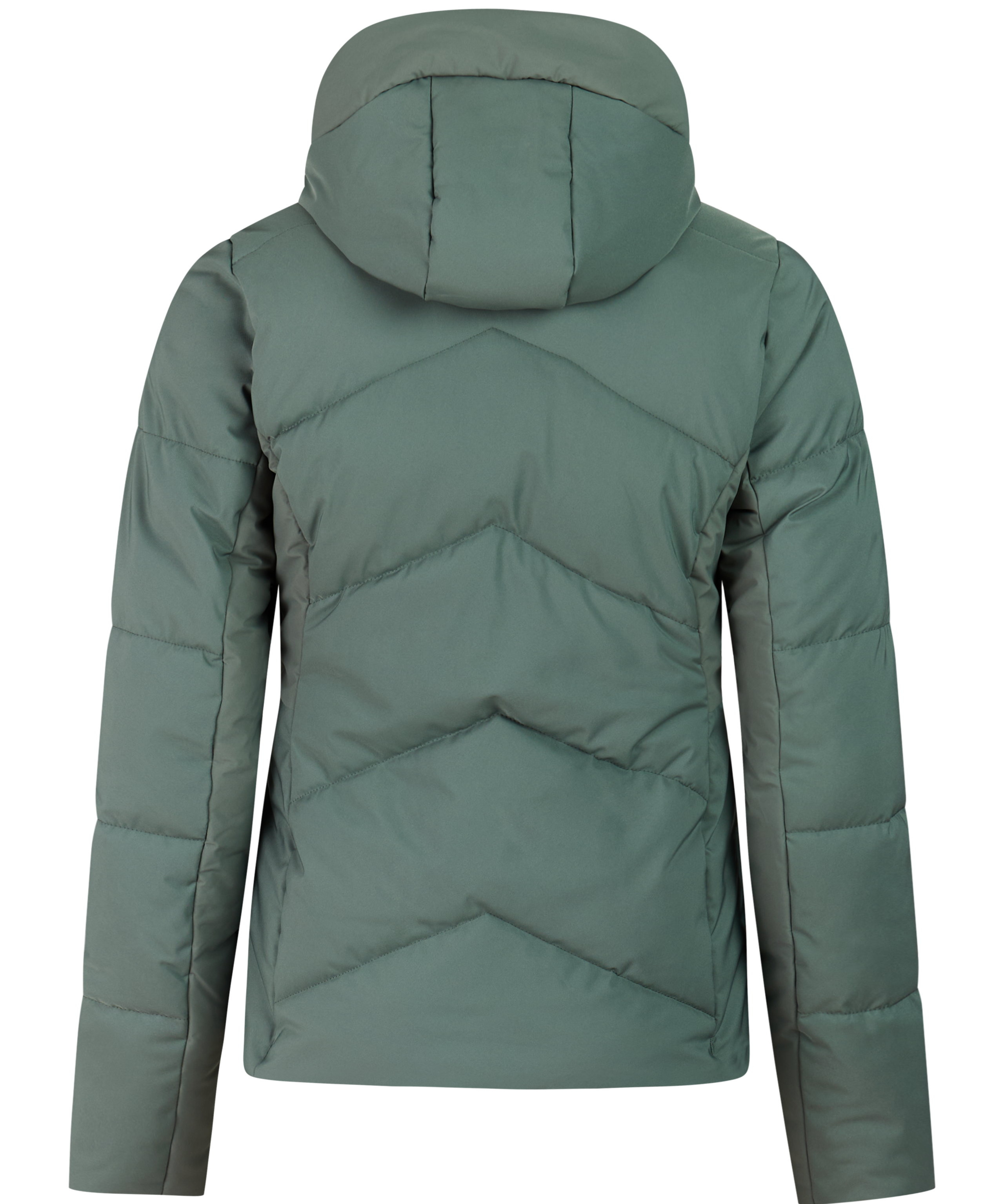 65662000_251_back.png