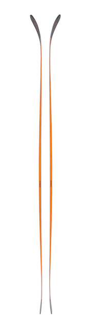 Blizzard Anomaly 88 2025