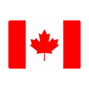 NoSo Flag Patch
