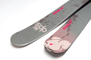 DPS Koala 103 2025