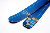 DPS Lotus 117 2025