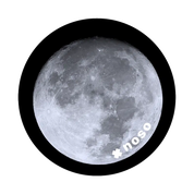NoSo Nature Patch