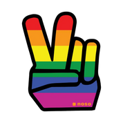 NoSo Flag Patch