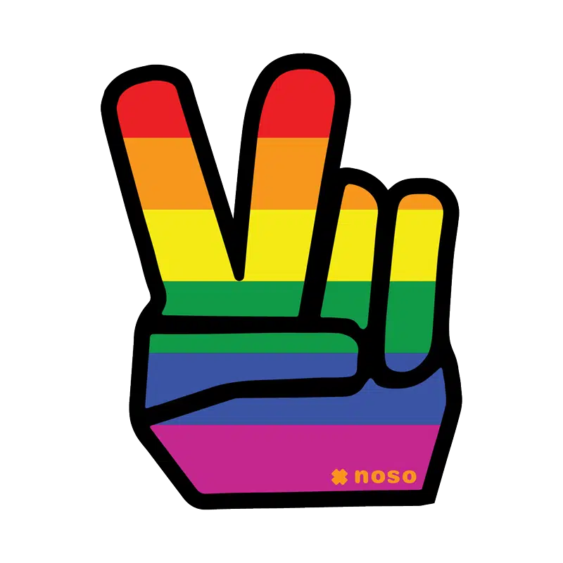 NoSo Flag Patch