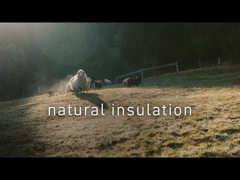 Ortovox 120 Comp Light Short Pants - Women's