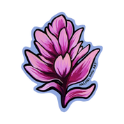 NoSo Floral Patch