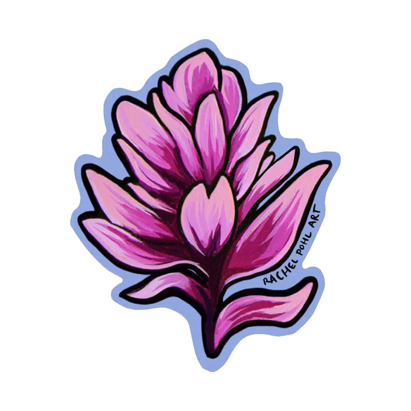 rachel-pohl-pink-paintbrush-noso-patches.webp