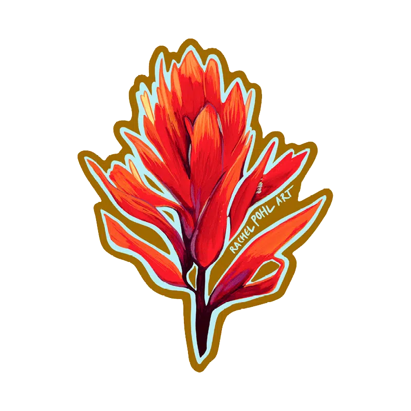 rachel-pohl-red-paintbrush-noso-patches.webp